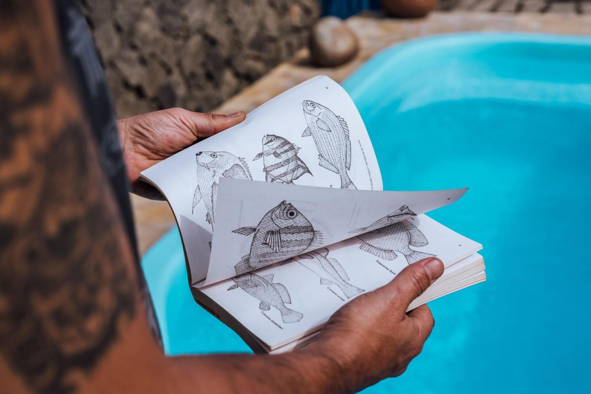 Maruja Bed and Breakfast Ilhabela Εξωτερικό φωτογραφία